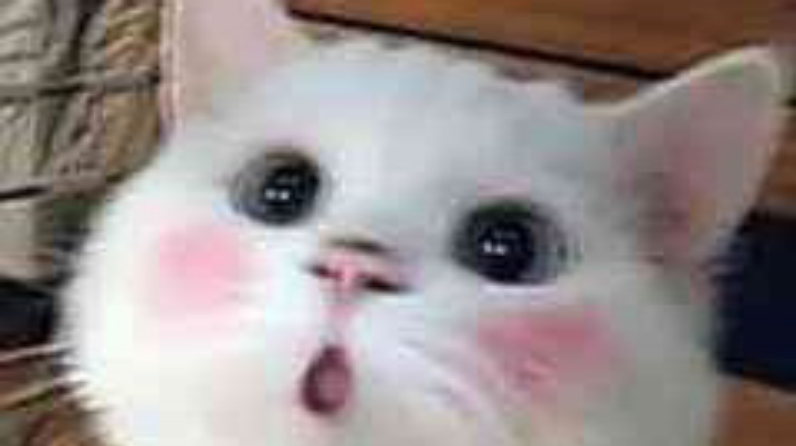 剪辑