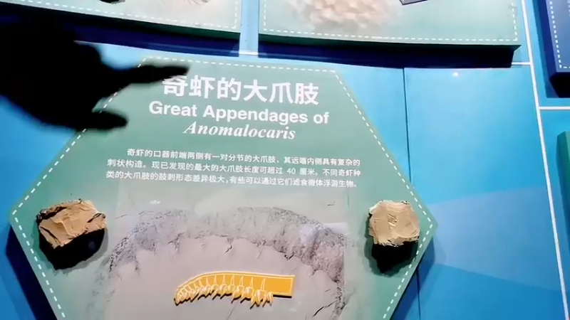 【2022-08-03 12点场】在线天文：在线天文的直播间