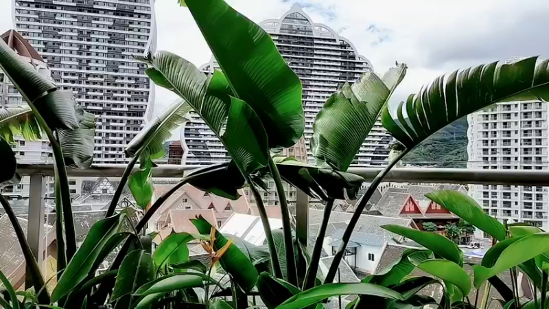 【2022-08-13 16点场】阿二Ayer：带家人出去旅游，随缘直播