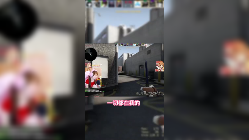 【csgo游戏日常】这也在你的预算之中吗？