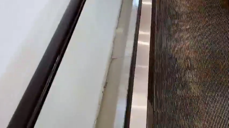 【2022-08-13 19点场】赛文柒Seven：恭喜六一哥150级！！！！！！