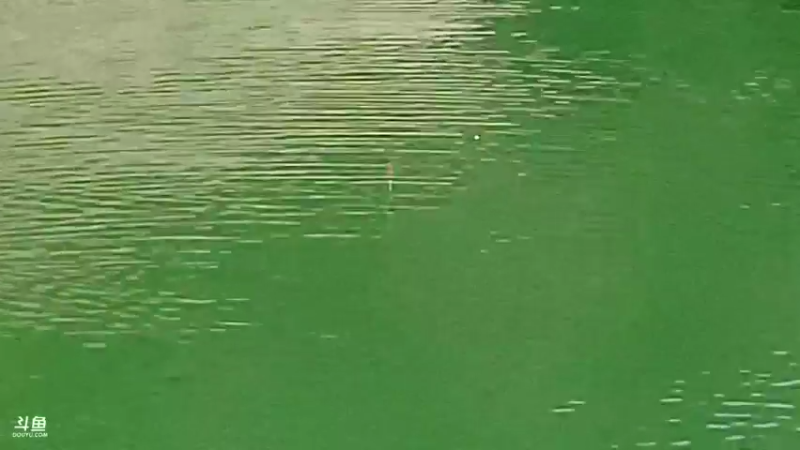 【2022-08-14 11点场】黑哥户外：今天能不能爆护