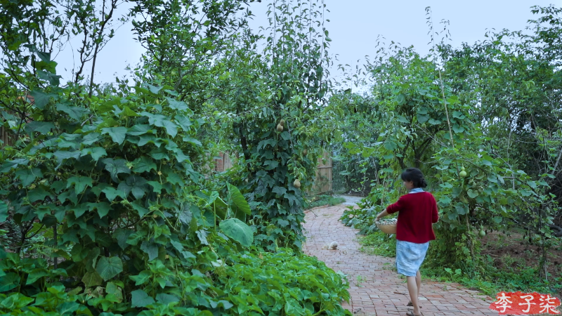 【美食】李子柒liziqi的精彩时刻 20220814 16点场