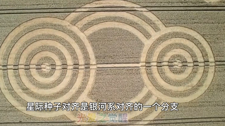 唉 输在刀了枪带队友 输在跳盾