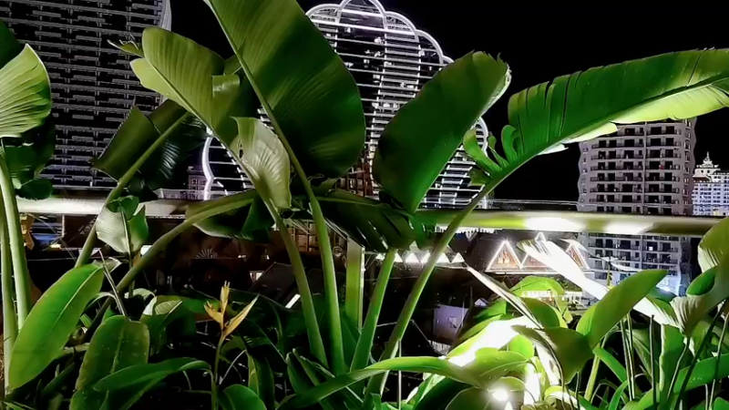 【2022-08-13 23点场】阿二Ayer：带家人出去旅游，随缘直播