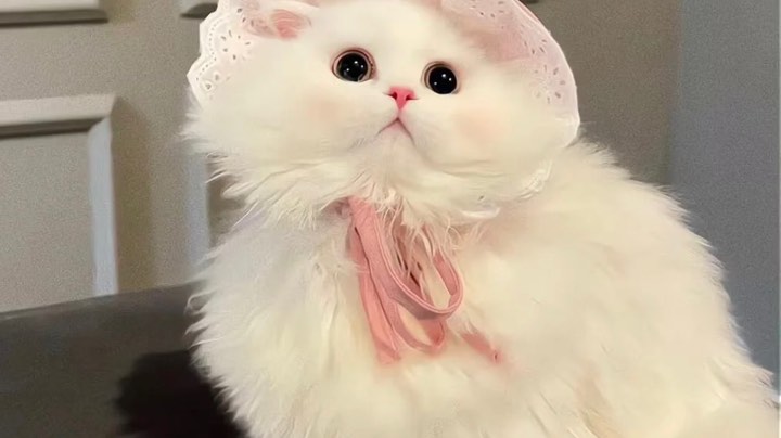 第一次古风