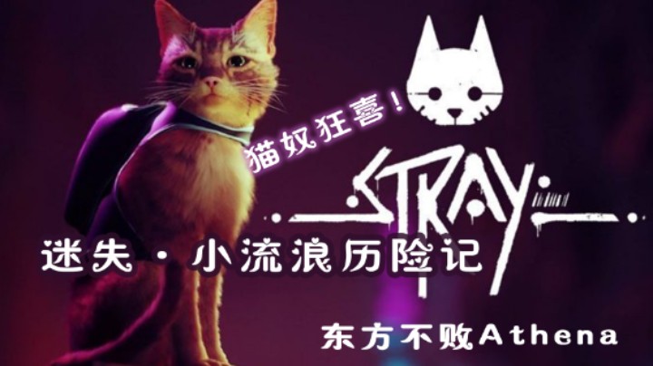 猫奴狂喜！Stray（迷失）小流浪历险记P8