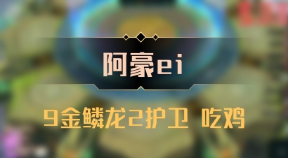 【阿豪ei】9金鳞龙2护卫 吃鸡