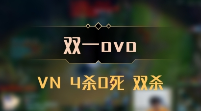 【双一ovo】VN 4杀0死 双杀