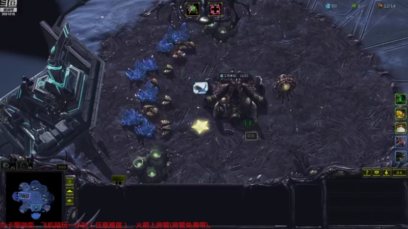 【2022-08-15 15点场】虞城小鱼儿：【合作任务】老鱼玩法~~