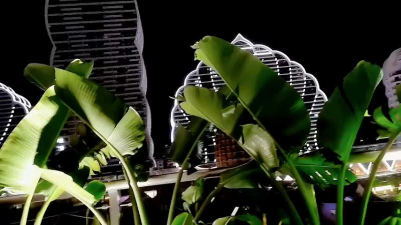 【2022-08-14 23点场】阿二Ayer：带家人出去旅游，随缘直播