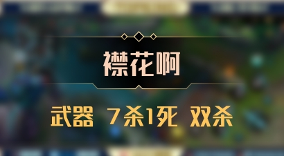 【襟花啊】武器 7杀1死 双杀
