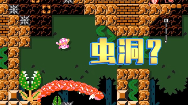 【白胖趣味图】22期 - 穿越“虫” 洞《马里奥制造2》