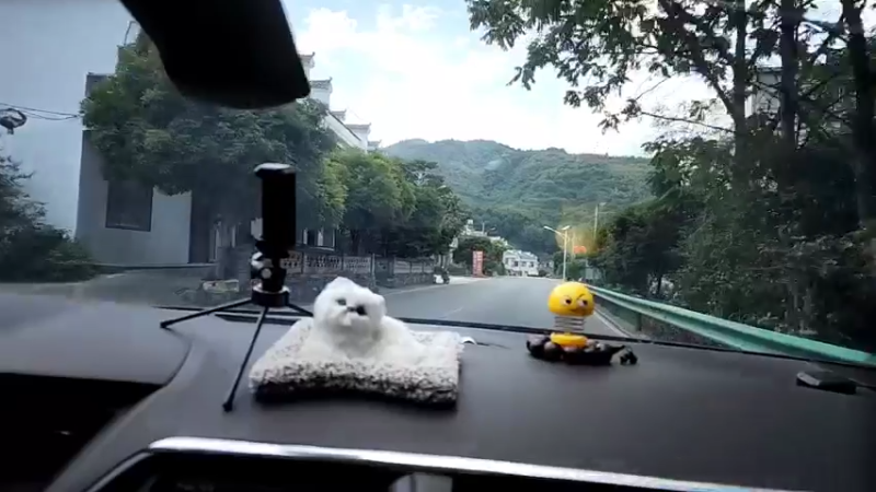 【2022-08-15 13点场】叶子户外：湖北通山九宫山闯王陵day9