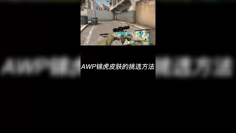 【csgo皮肤讲解】锦虎狙皮肤挑选方法