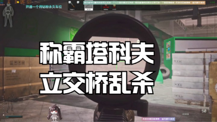 称霸塔科夫立交桥乱杀