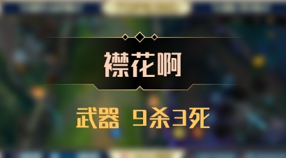 【襟花啊】武器 9杀3死