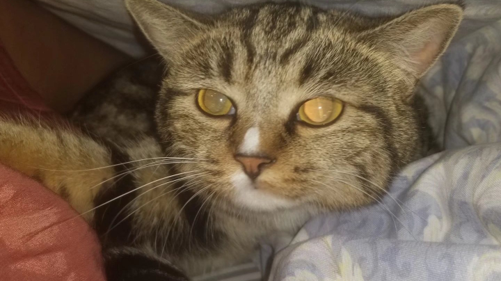。。。
