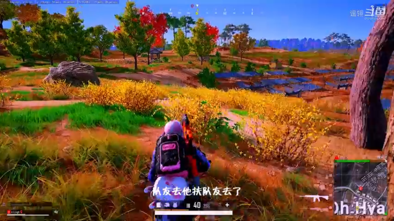 我应该在车底的
