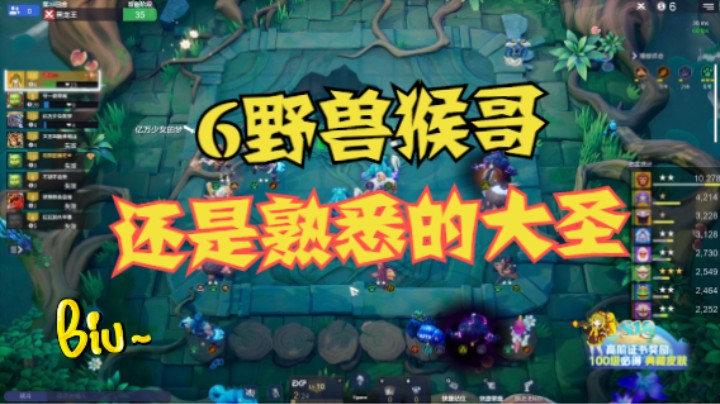 6野兽猴哥——还是熟悉的大圣
