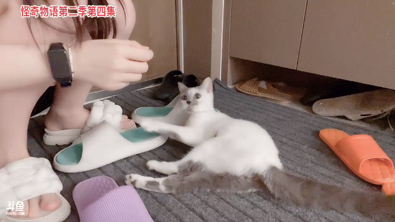 【户外】XX是个坏女人的精彩时刻 20220818 00点场