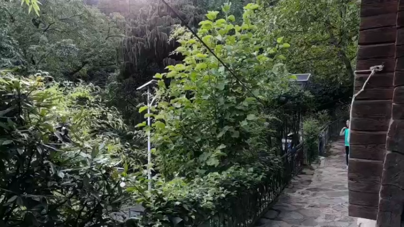 【2022-08-10 18点场】在线天文：滇金丝猴，雪山精灵