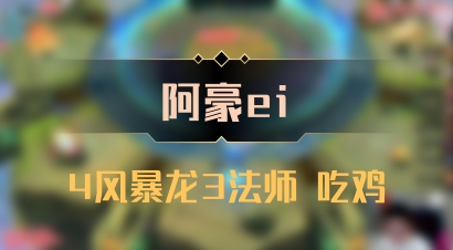 【阿豪ei】4风暴龙3法师 吃鸡