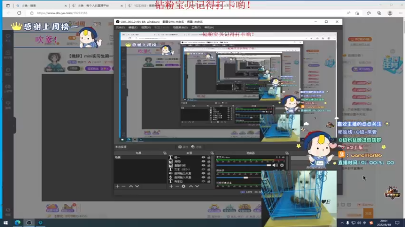【2022-08-18 19点场】晚辞77：【晚辞】mini实习生第一天！