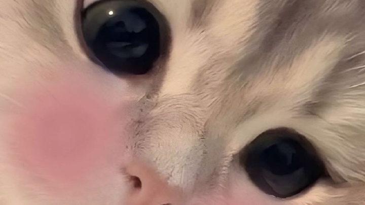 快乐五排