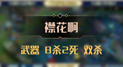 【襟花啊】武器 8杀2死 双杀