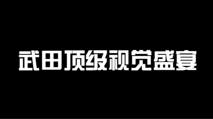 武田顶级视觉盛宴