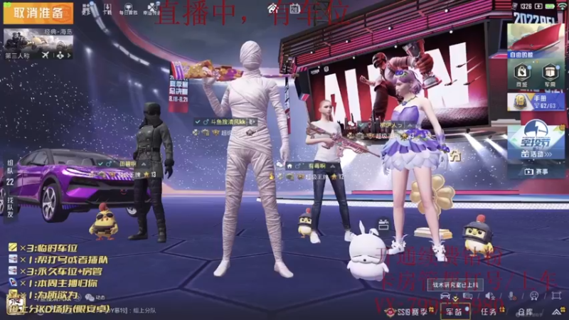 和平精英和平精英13