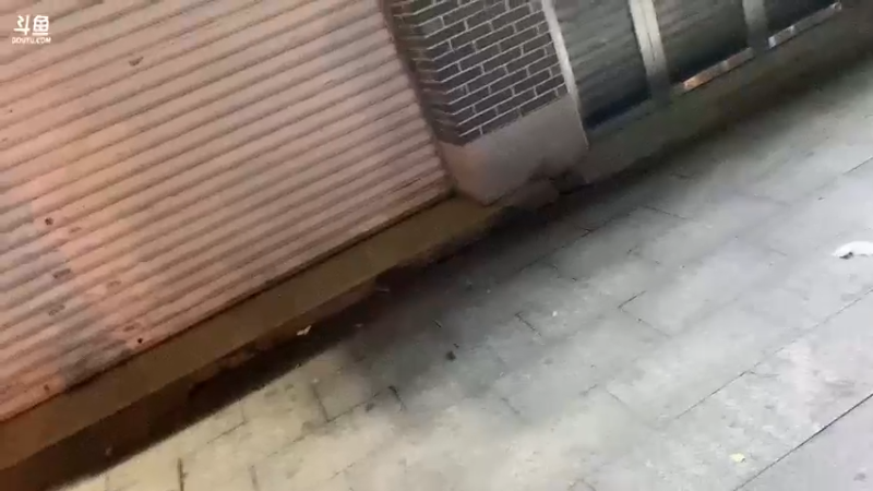 【2022-08-21 02点场】轰轰仔：轰轰：长沙行Day6