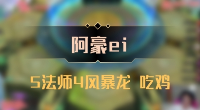 【阿豪ei】5法师4风暴龙 吃鸡