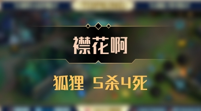 【襟花啊】狐狸 5杀4死