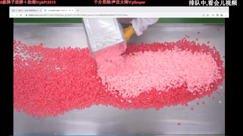 【2022-08-22 19点场】叶音符：叶音符:叶坦厂暑假班