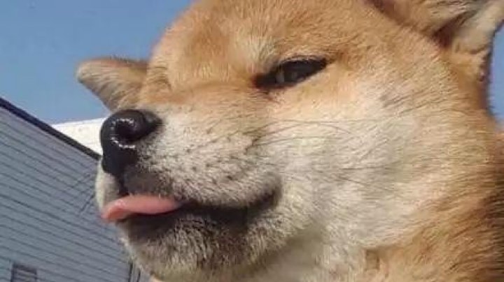啦啦啦