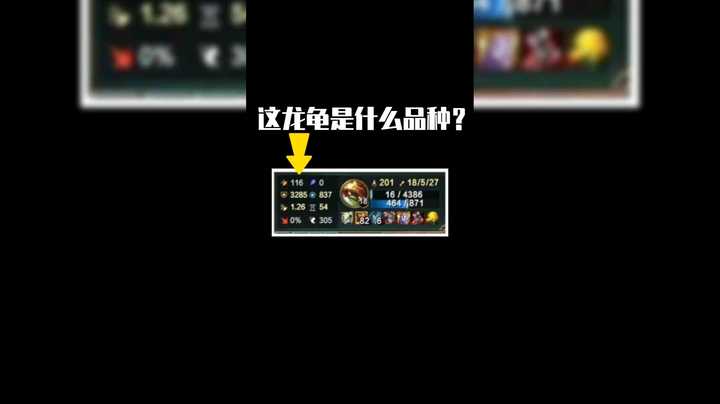 《龟壳太硬》