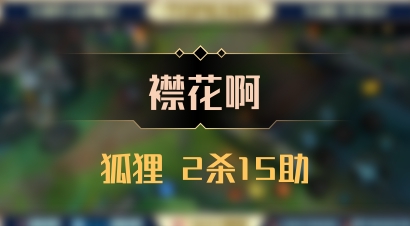 【襟花啊】狐狸 2杀15助
