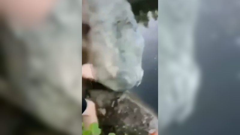 珍惜夏天化妆给你看的女孩子