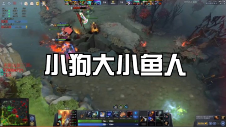 小狗大小鱼
