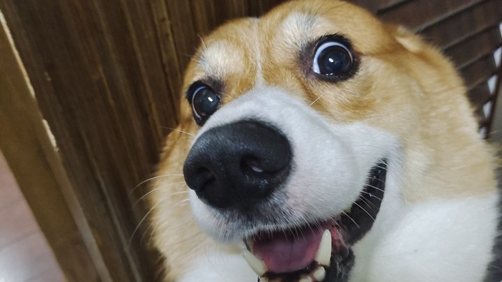 起飞