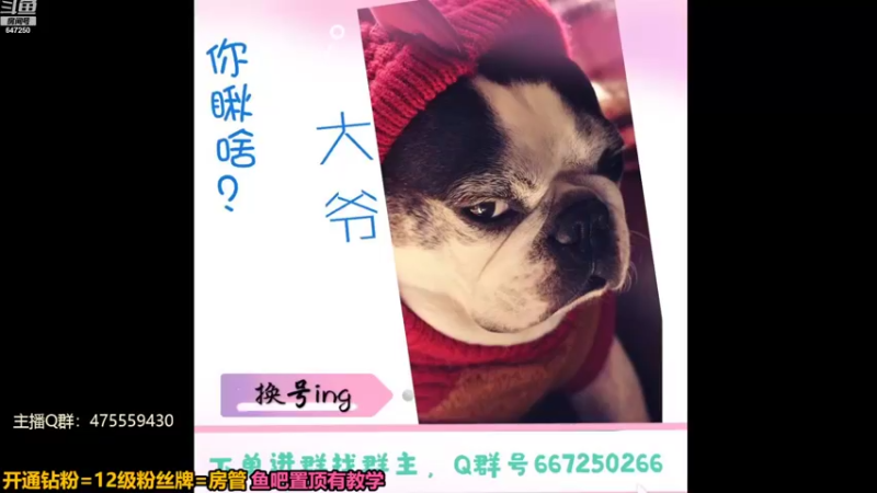 【2022-08-22 22点场】小马锅马杰：马锅：面麻冲。
