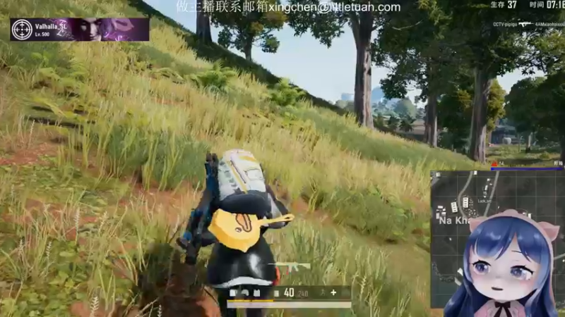 【2022-08-23 19点场】一条小团团OvO：我是抱枕，我爱上班~