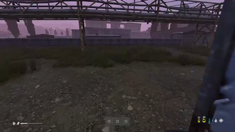 【2022-08-24 18点场】dayz韩爱东西：打开这个游戏，你将忘却世间所有的烦恼