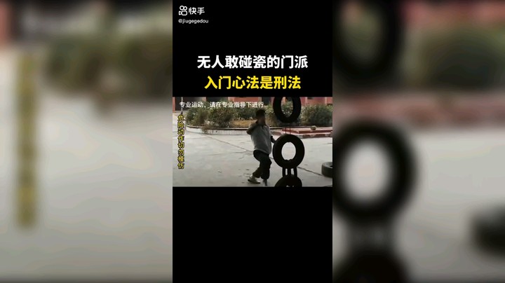 无限制格斗流陈师傅