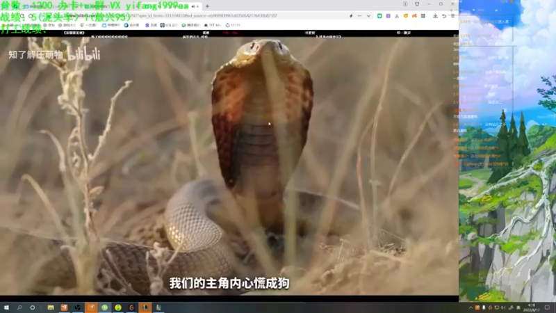 【2022-08-17 04点场】一方通行A丶：晚上好~开冲啦~go