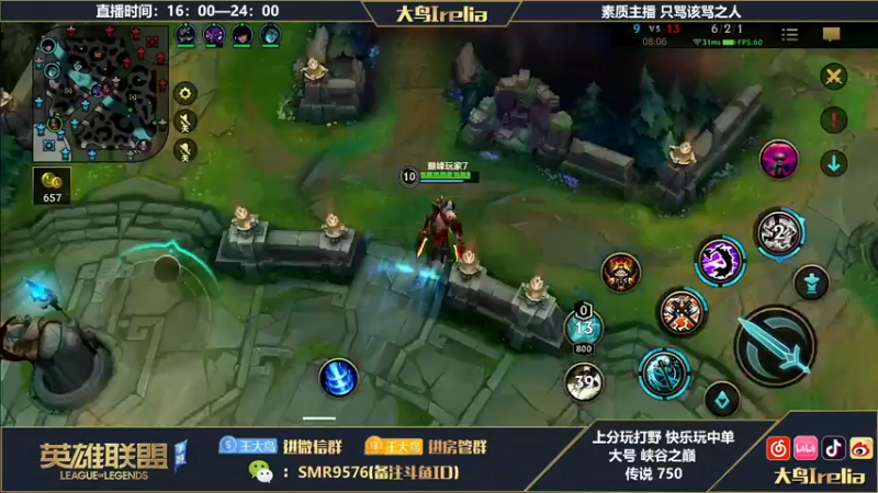 【2022-08-24 22点场】大鸟Irelia：最强中野：思路操作讲解
