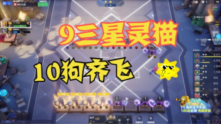 9三星灵猫——10狗齐飞
