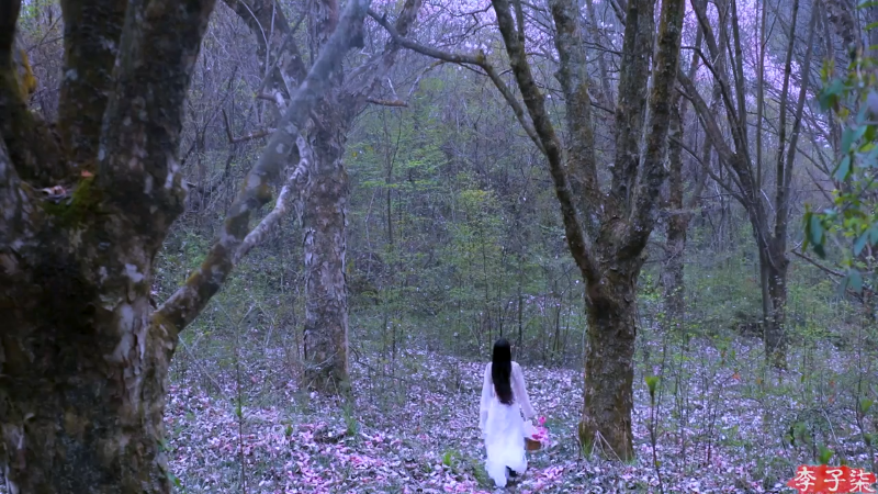 我在斗鱼看李子柒liziqi直播美食